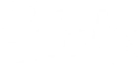 Stake official logo